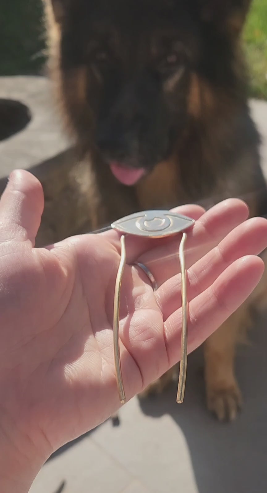 Brass Hair Pin, Watching You